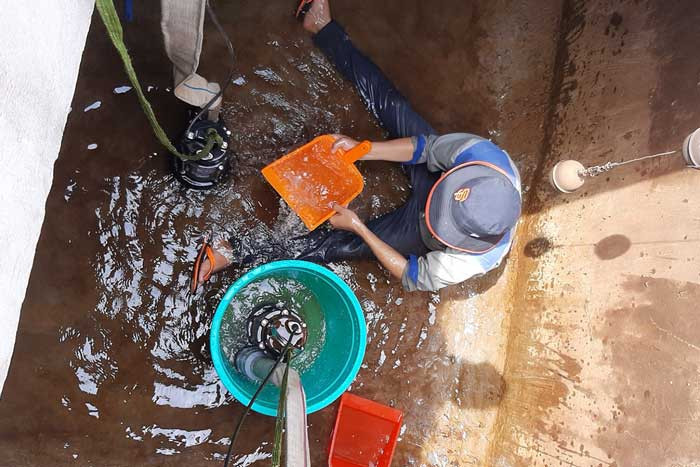 Một số lý do cần thau rửa bể nước tại Hà Nội định kỳ