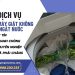 Mẫu Mới T72024 (4)