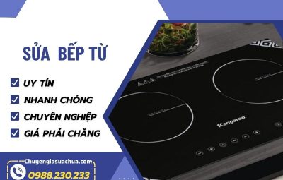Bếp Từ 1